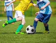 哈登威少道,篮网华裔老,板蔡崇信正,龙8国际官网,龙8国际品牌,龙8国际精彩,龙8国际