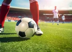 国际,资讯,龙8国际,龙8国际官网,龙8国际品牌,龙8国际精彩,龙8国际