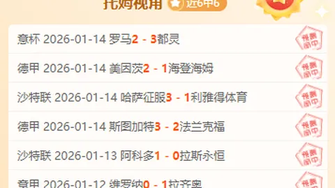布鲁斯堡对锡瓦斯体育比赛分析及专家推荐
